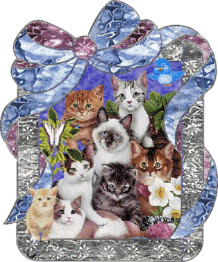 Images scintillantes